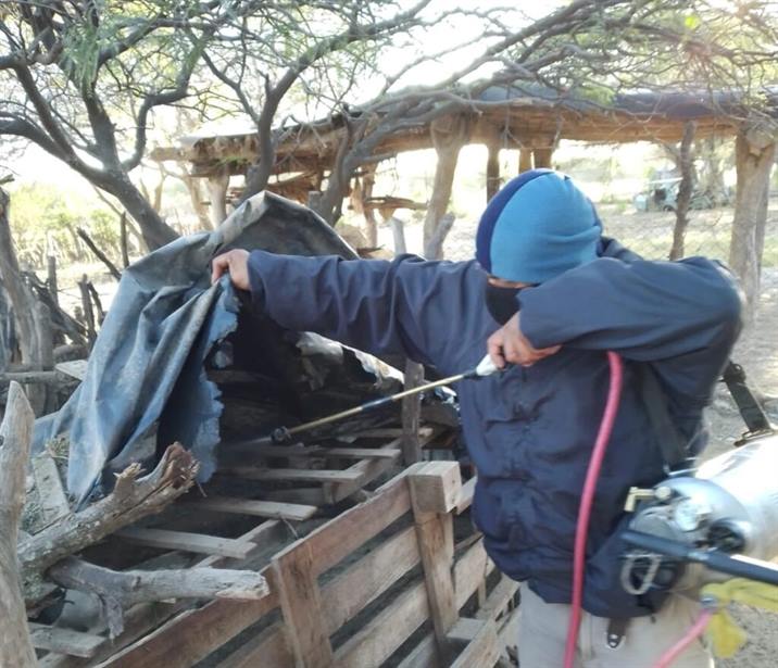Refuerzan la lucha contra el chagas en Colonia El Simbolar Refuerzan la lucha contra el chagas en Colonia El Simbolar