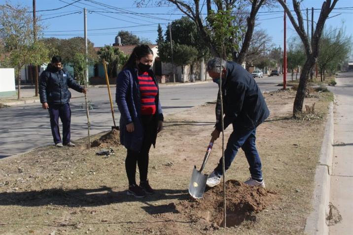Plantaron 3900 árboles en el barrio Autonomía