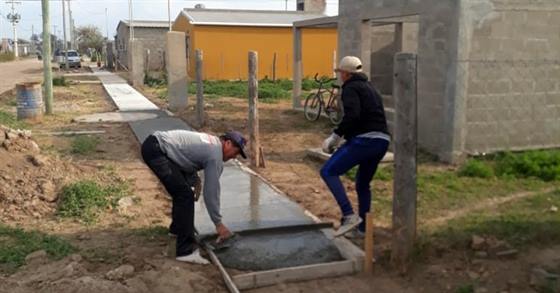 Viviendas, veredas públicas y reforestación en Pinto Viviendas, veredas públicas y reforestación en Pinto