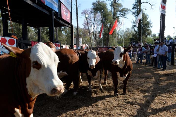Expo Bra 2021: Ingresarán quienes estén vacunados contra el covid