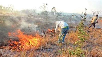 Piden evitar la quema de pastizales por alto riesgos de incendios Piden evitar la quema de pastizales por alto riesgos de incendios