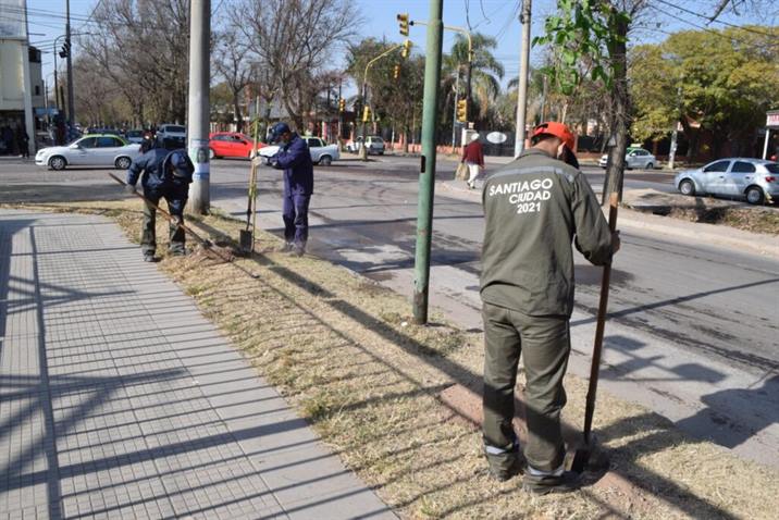 Convocan a una plantación simultánea por el Día del Árbol Convocan a una plantación simultánea por el Día del Árbol