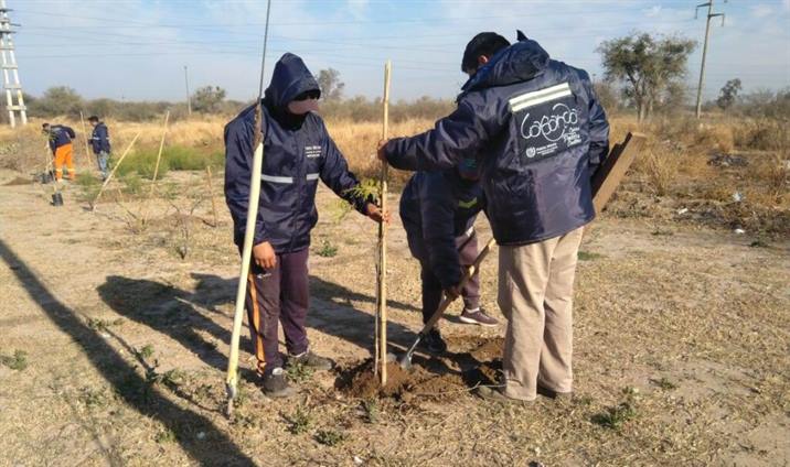 Operativos de limpieza y reforestación en el barrio San Fernando