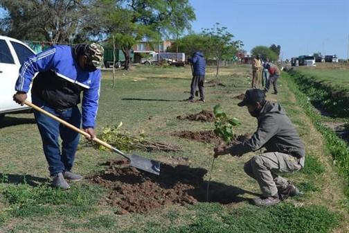 Colonia Dora: Plantan más de 120 árboles a la vera de la ruta