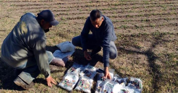 Huerteros de Pinto reciben semillas para fortalecer la producción familiar