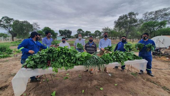 Instituciones de Las Termas recibirán verduras orgánicas