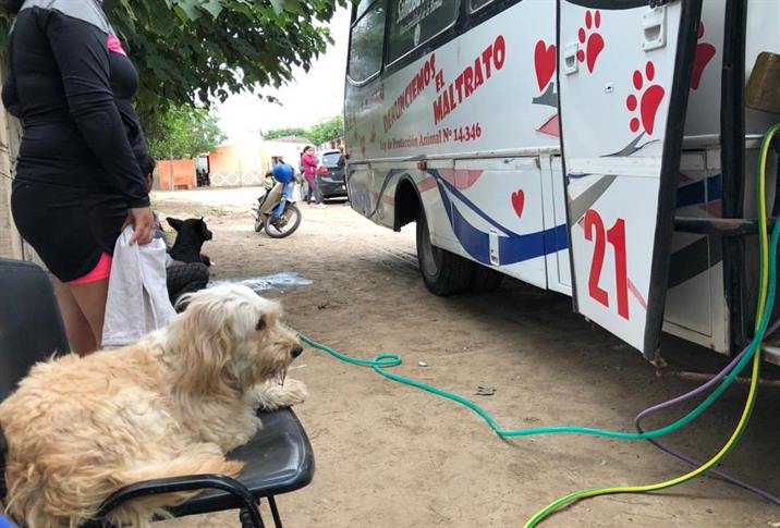 Continúan los operativos de atención veterinaria gratuitos Continúan los operativos de atención veterinaria gratuitos