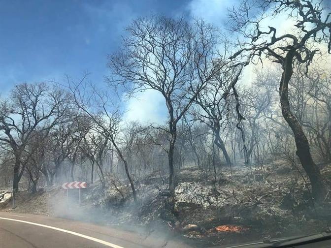 Voraz incendio consumió gran parte de las Sierras de Guasayán Voraz incendio consumió gran parte de las Sierras de Guasayán