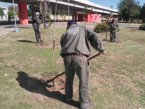 Plantarán más de 4000 árboles en dos barrios capitalinos