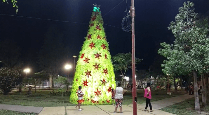 San Pedro recibe el fin de año con un árbol de Navidad ecológico San Pedro recibe el fin de año con un árbol de Navidad ecológico