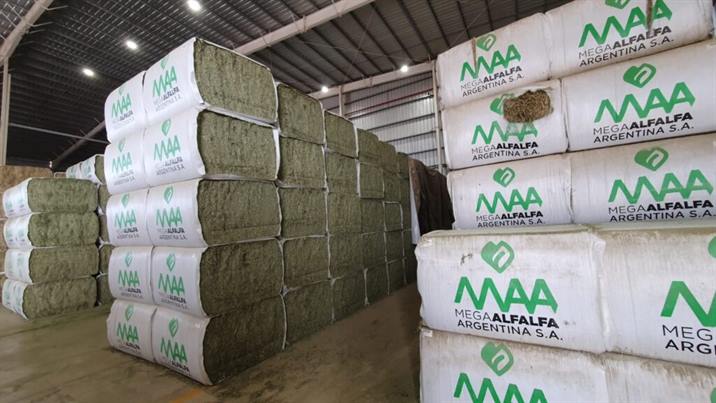 Santiago generó el ingreso de 1.500 millones de dólares en exportaciones de productos locales