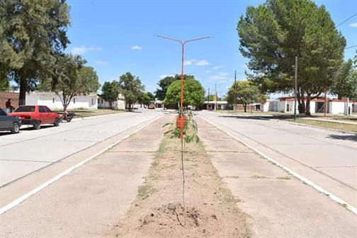 Culminó una nueva obra de pavimentación en Frías Culminó una nueva obra de pavimentación en Frías