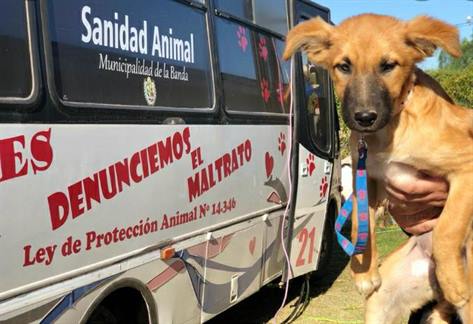Entregan bonos para castraciones a bajo costo
