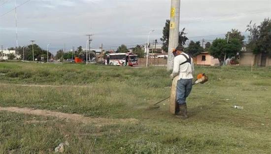 Desmalezamiento y limpieza de espacios verdes en La Banda Desmalezamiento y limpieza de espacios verdes en La Banda