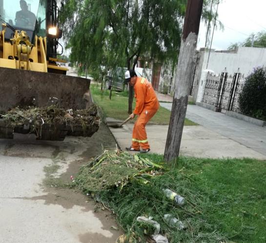 Intensifican tareas de limpieza, desmalezamiento y fumigación en barrios bandeños Intensifican tareas de limpieza, desmalezamiento y fumigación en barrios bandeños