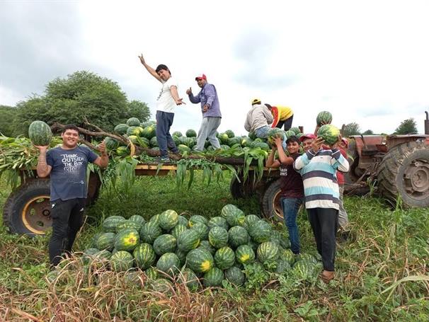 Primera comercialización de productores de Villa Hipólita al Mercado Central