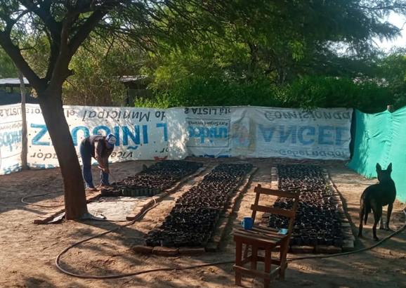 Municipio y vecinos producen plantines para embellecer Colonia El Simbolar