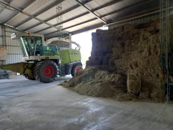 Beltrán habilitó una fábrica de pellets de alfalfa Beltrán habilitó una fábrica de pellets de alfalfa