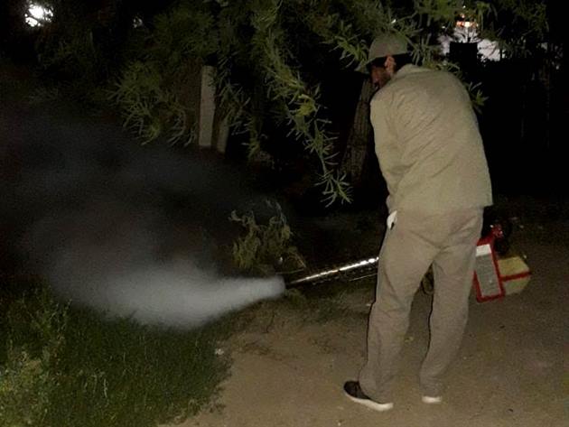 Fumigación casa por casa en todos los barrios de Clodomira Fumigación casa por casa en todos los barrios de Clodomira
