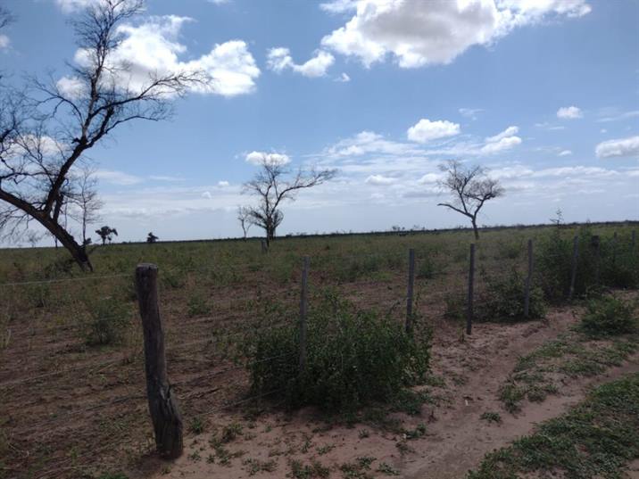 Intiman a un propietario a reforestar 300 hectáreas de bosques nativos Intiman a un propietario a reforestar 300 hectáreas de bosques nativos