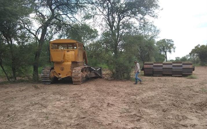 Detienen desmontes ilegales en 300 hectáreas de Alberdi