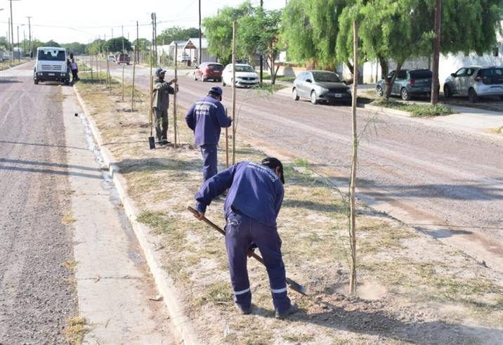 Plantarán más de 1500 árboles en el barrio Belén Plantarán más de 1500 árboles en el barrio Belén