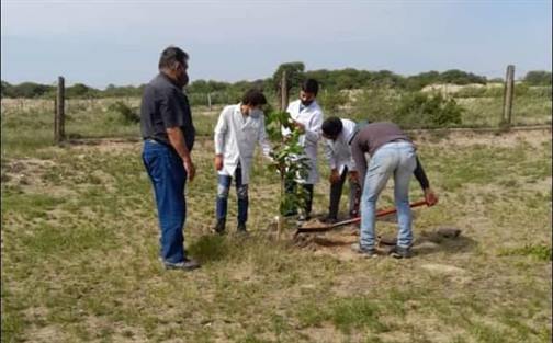 Alumnos plantaron 90 especies forestales en Loreto