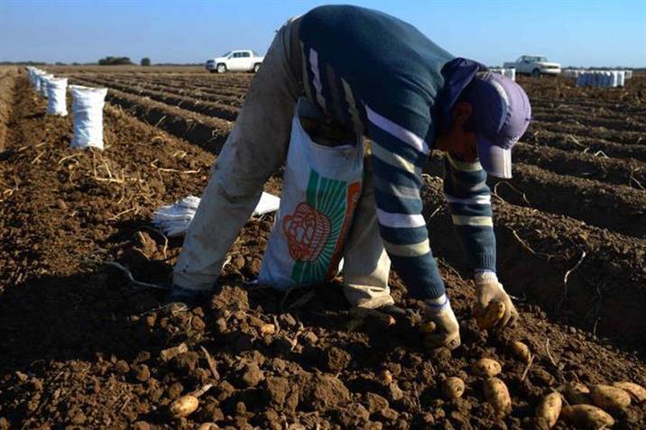 Convocan a trabajadores rurales para acceder a los beneficios del programa Intercosecha