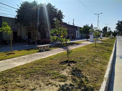 Beltrán plantó más de 200 árboles en distintos puntos de la ciudad