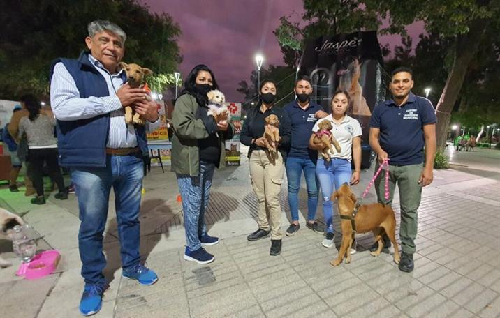 Exitosa campaña de adopción en Las Termas Exitosa campaña de adopción en Las Termas