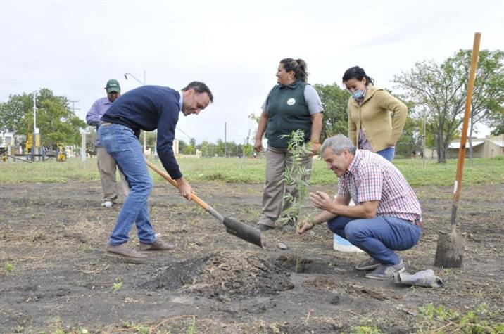 Plantan más de 100 especies arbóreas en Fernández
