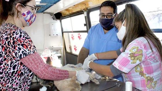 Otorgan turnos para castraciones de mascotas a bajo costo