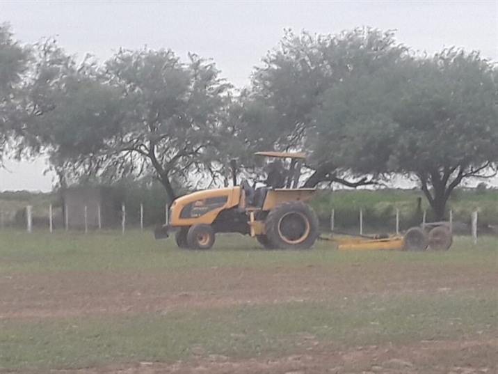 Realizan tareas de mantenimientos en clubes de Colonia El Simbolar Realizan tareas de mantenimientos en clubes de Colonia El Simbolar