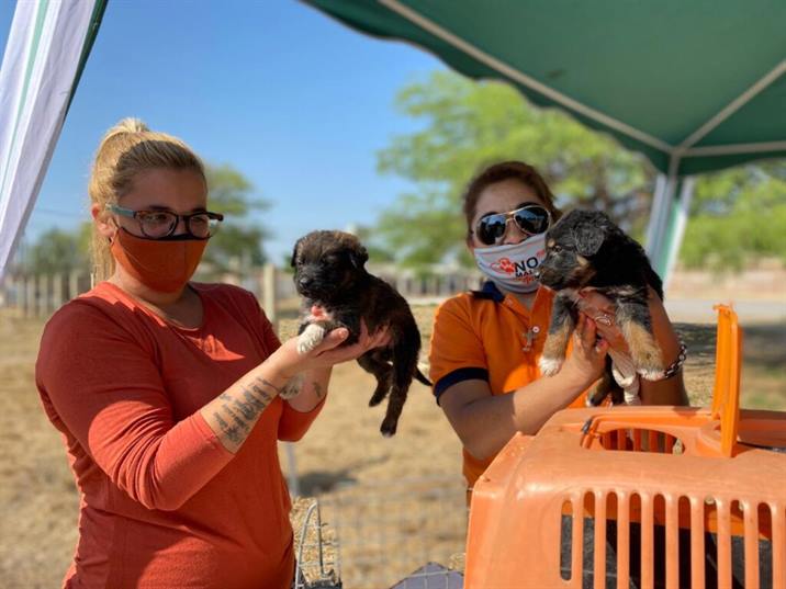 Entregan turnos para castraciones a bajo costo