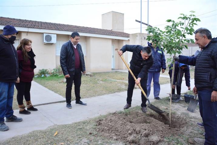 Colocan árboles en espacios verdes del barrio Mama Antula
