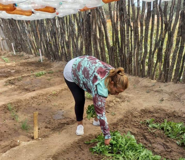 Más familias capitalinas apuestan a las huertas urbanas Más familias capitalinas apuestan a las huertas urbanas