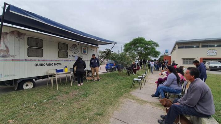 Inicia una campaña de castración de perros y gatos en Termas