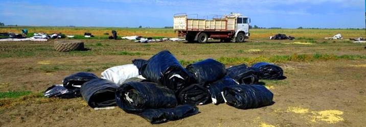 Una empresa dedicada al reciclado generará puestos de trabajo en Colonia Dora