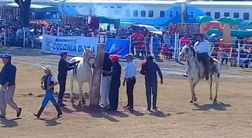 Regresa el Festival Día de la Independencia a Colonia Dora