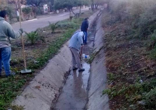 Limpian desagües y realizan la reforestación del barrio Villa Nueva de Clodomira Limpian desagües y realizan la reforestación del barrio Villa Nueva de Clodomira