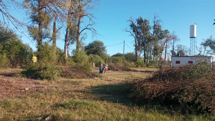 Nuevas tareas de limpieza en espacios públicos de Colonia El Simbolar Nuevas tareas de limpieza en espacios públicos de Colonia El Simbolar