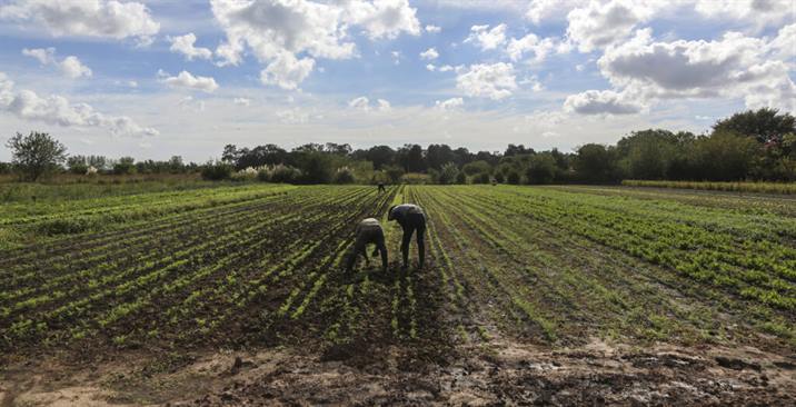 Buscan promover el desarrollo de los productores de Cañada Escobar Buscan promover el desarrollo de los productores de Cañada Escobar