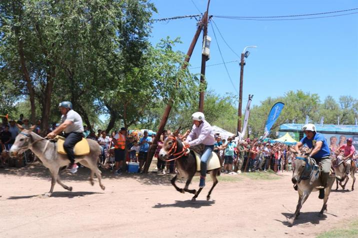 Vaca Human prepara un “finde” a pleno con ciclismo, una expo y el Rally de Burros Vaca Human prepara un “finde” a pleno con ciclismo, una expo y el Rally de Burros
