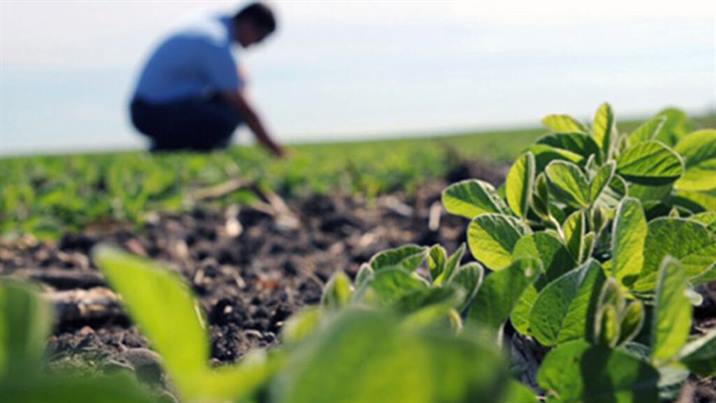 Brindan capacitación gratuita sobre Buenas Prácticas Agrícolas en Fernández