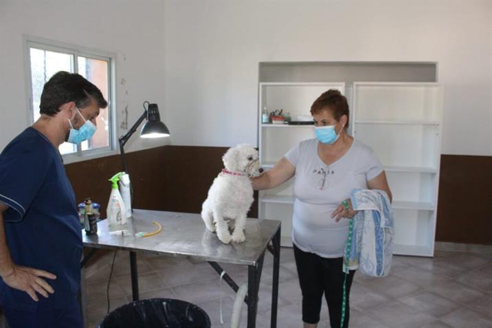 Esterilizan a más de 100 mascotas en tres barrios capitalinos