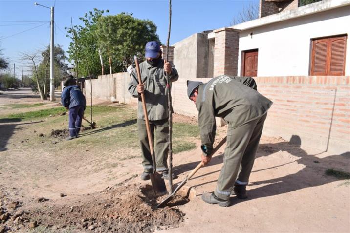 Plantaron más de 4700 árboles en el barrio Borges