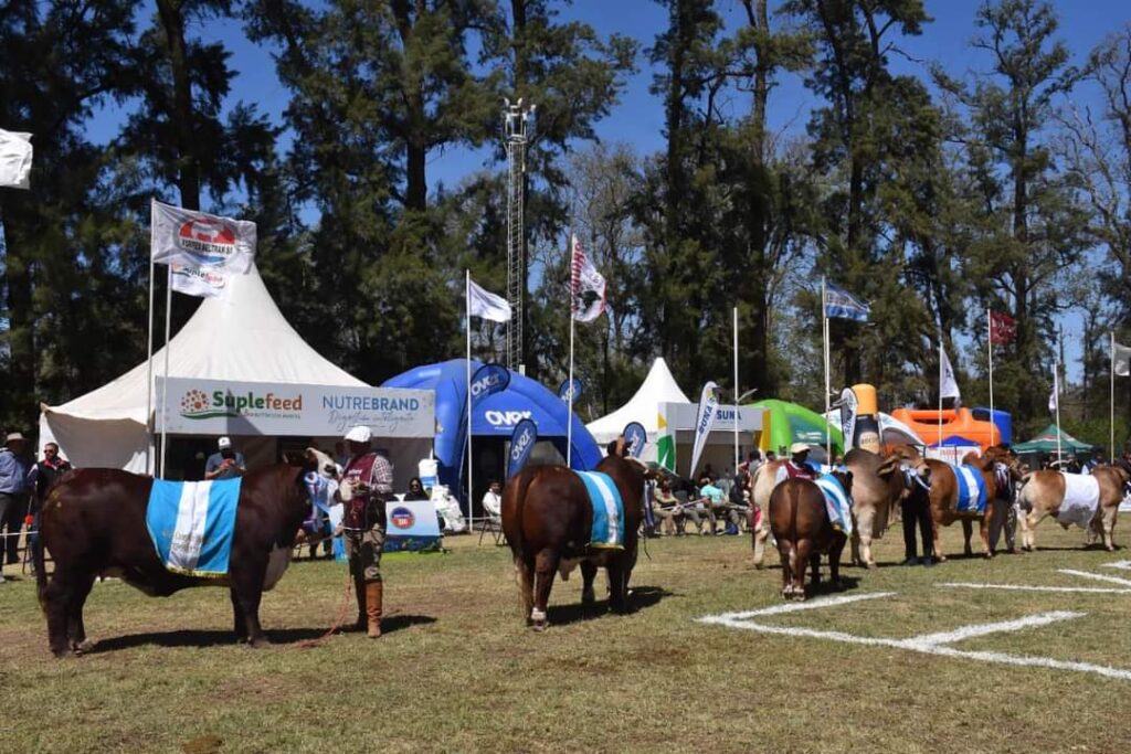 Santiago del Estero expone su potencial ganadero en la Expo Bra