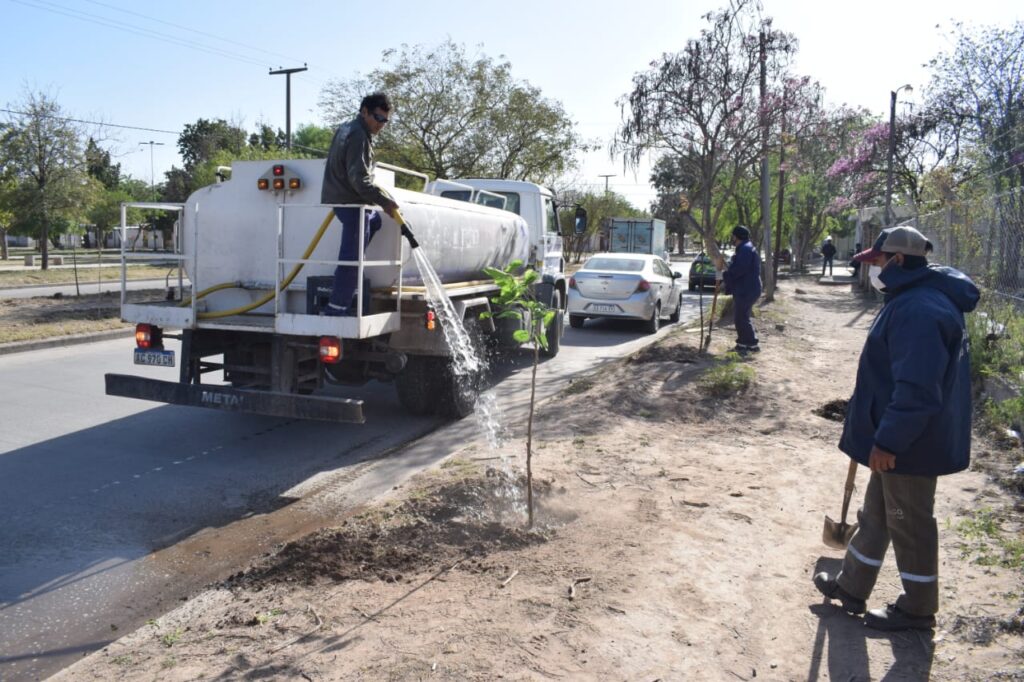 Plantarán 4500 árboles en el barrio Vinalar