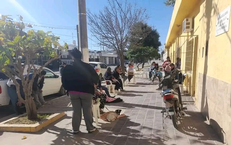 Clodomira superó las 400 castraciones gratuitas en menos de un año