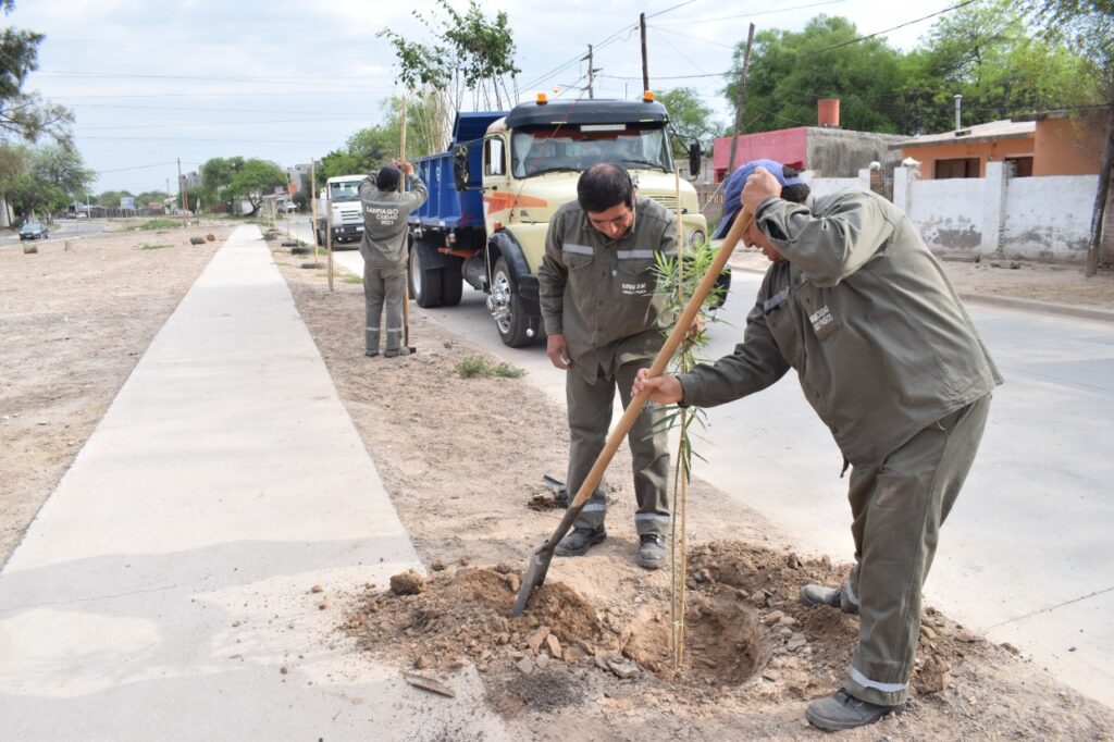 Plantaron 3900 árboles en el barrio Santa Lucía